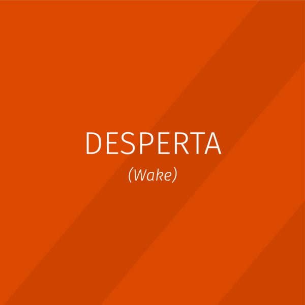 Contemporary - Desperta - Multitracks