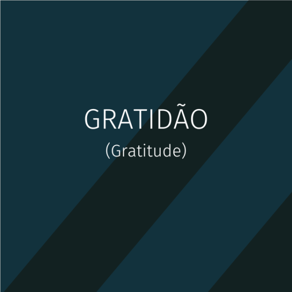 Worship - Gratidão - Pacote completo