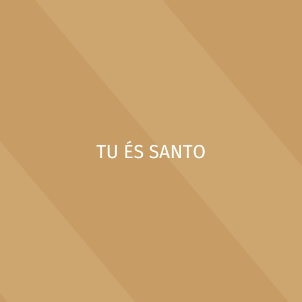 Clássicos – Tu és santo - Multitracks